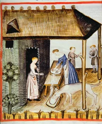 Preparación de queso fresco, de Tacuinum Sanitatis